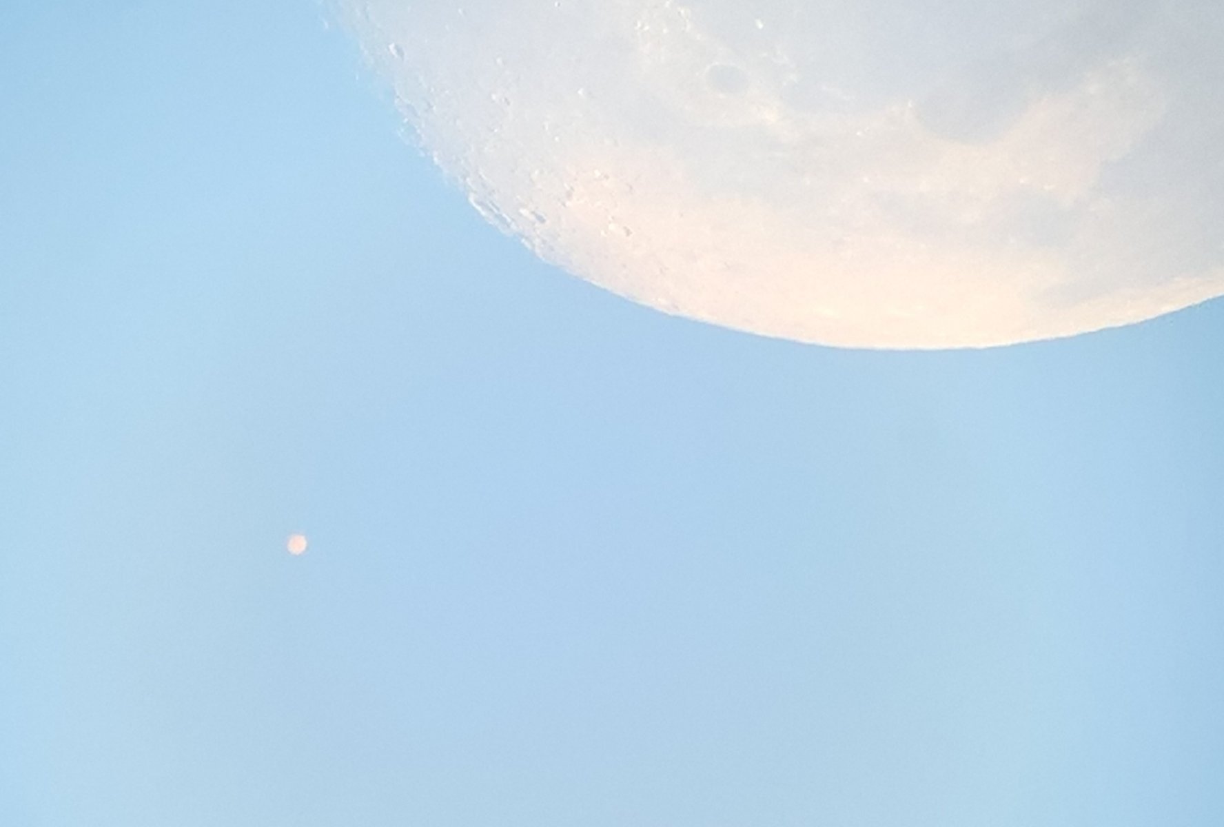 WP_20200906_08_18_01_Pro_LI.jpg