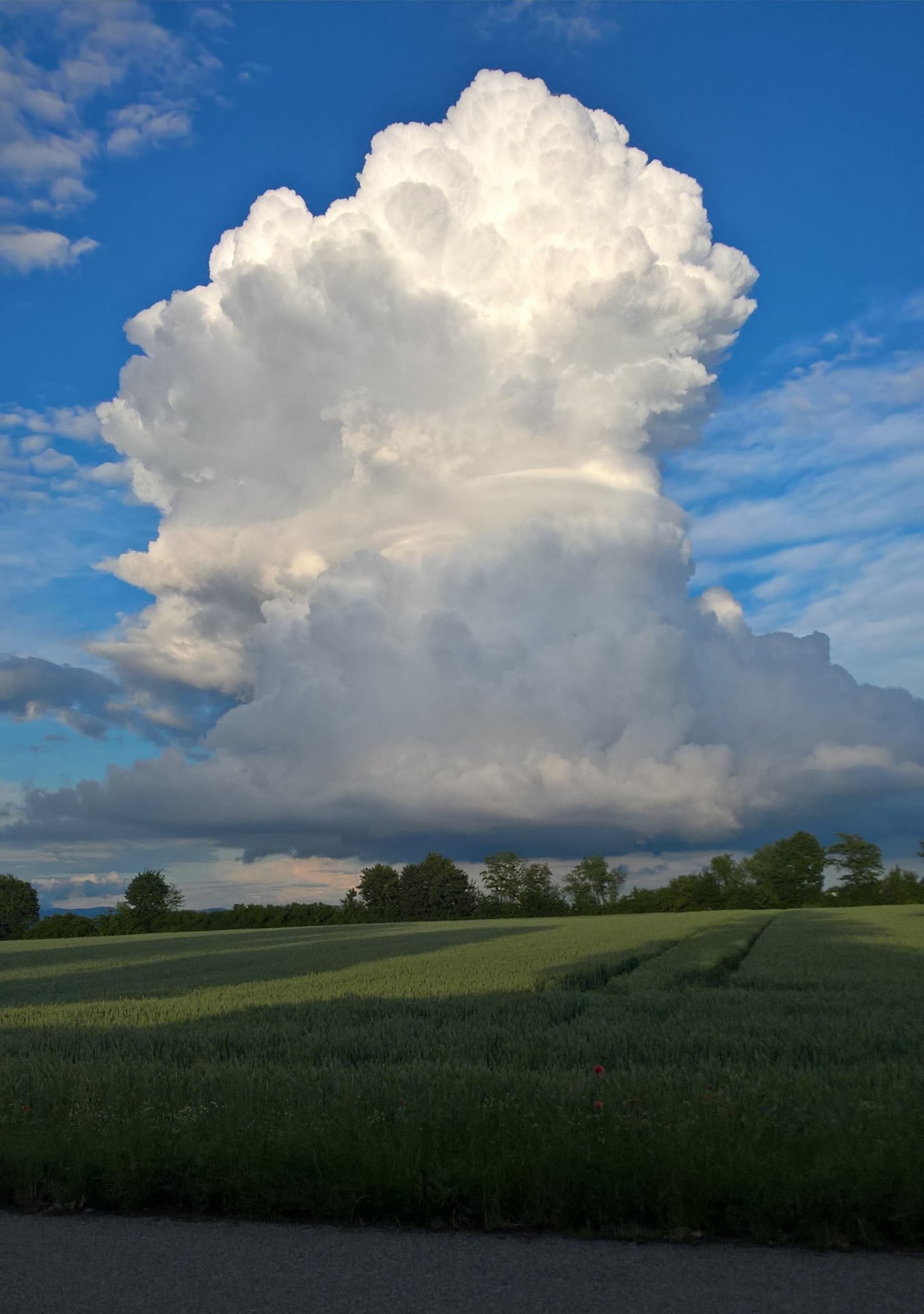 WP_20210625_20_09_28_Pro_LI (2).jpg
