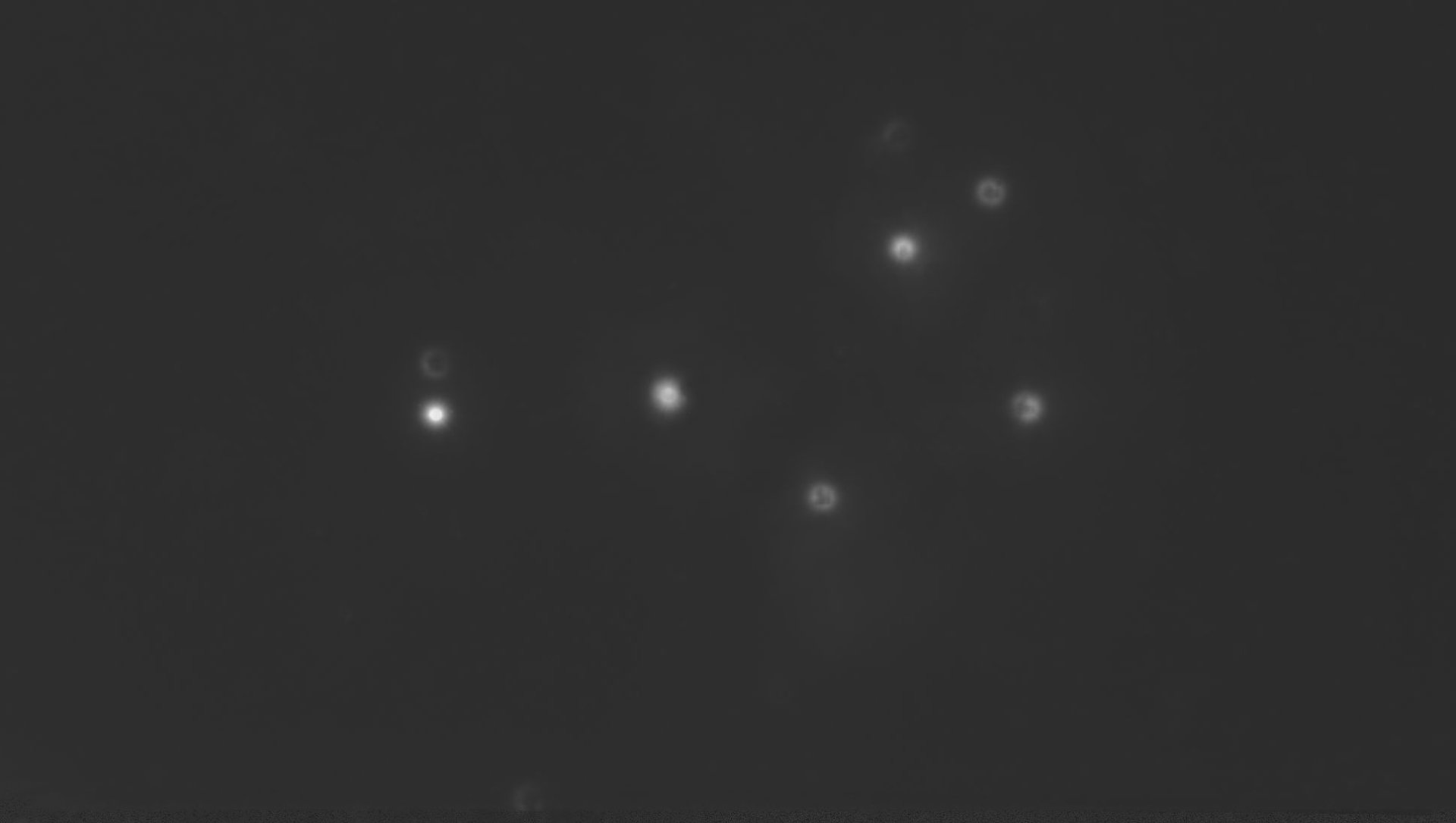 Zielbild-plejaden-021124-ircutos.jpg