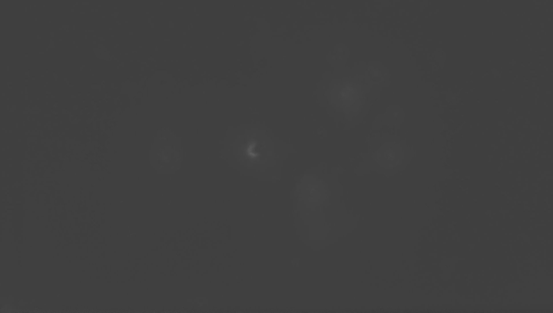 Zielbild-plejaden-121024-gelb-os.jpg