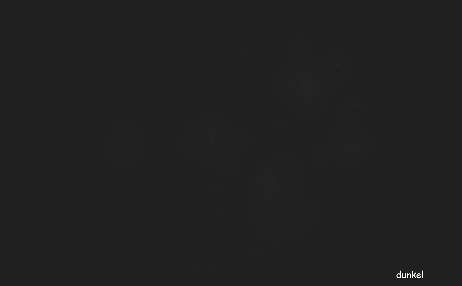 Zielbild-plejaden-121024-starnet-ani.gif