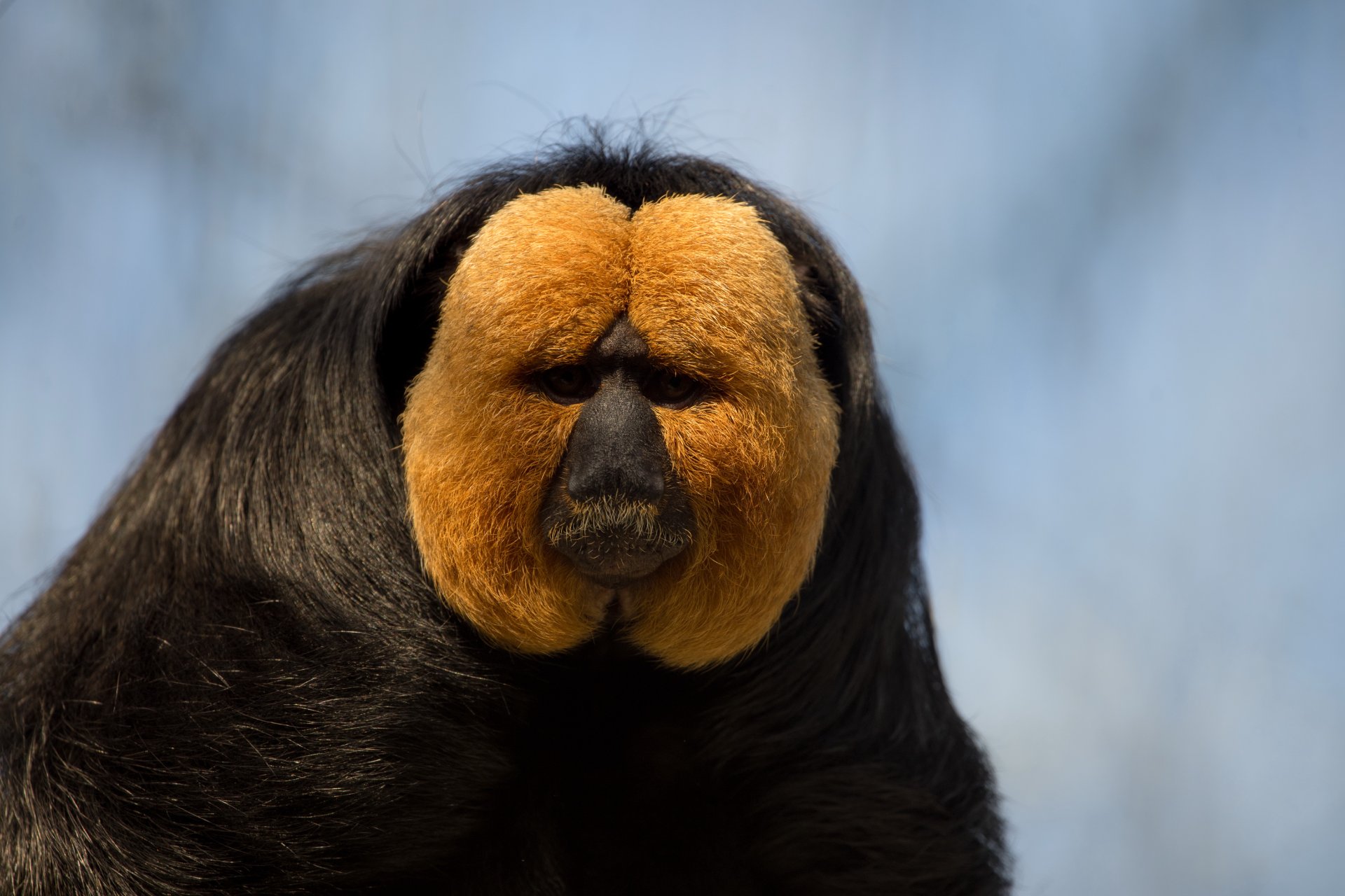 Zoo Nürnberg.jpg