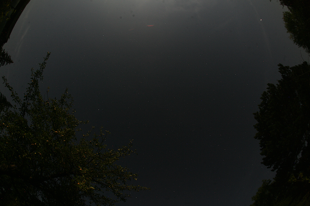 ZR3H2611.JPG