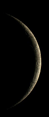 080209_Mond_Nick_1x.jpg