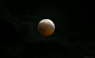 IMG_2664.jpg
