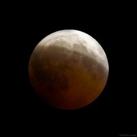 IMG_2664_crop.jpg
