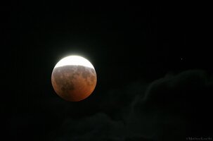 IMG_2713.jpg