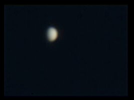 Venus1-1.jpg