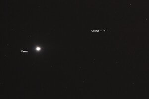 Venus und Uranus.jpg