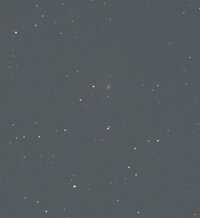 29P20090211aktiv.jpg