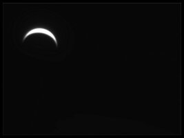 Venus.JPG