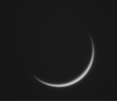 Venus_17032009.jpg