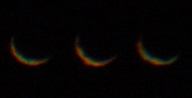 venus-einzel-83-85.JPG