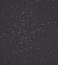 M38Cardinal20090414.jpg