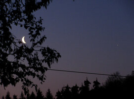 2009.04.20a 093.jpg