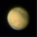 maran3.gif