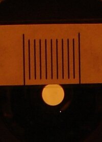 2-Spek-25-fach.jpg