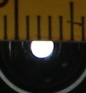 Spek-75-fach.jpg