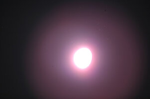 IMG_4862.jpg