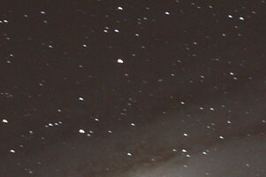 IMG_1530.JPG