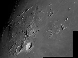 Mosaik-Vallis-Schröteri-For.jpg