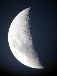 IMG_0226xxs.jpg