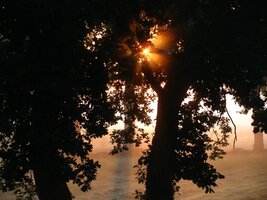 comp_2009.06.23a 035.jpg
