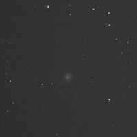 2010021629P.jpg