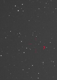 20100216169P.jpg
