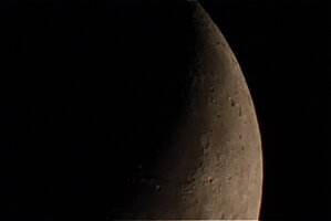 mond29022010.jpg