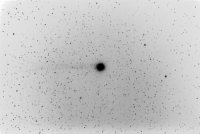 Komet Lovejoy 8_1_2015 graustufen.jpg