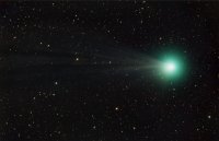 Lovejoy12_01_15bkl.jpg