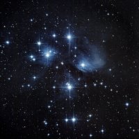 M45_Thomas_Stelzmann.jpg