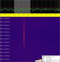 SIGNAL_20201116_064657.jpg