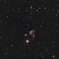 ARP 273 final jpg.jpg