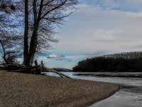 IMG_20200202_130941.jpg