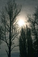 IMG_9563.jpg