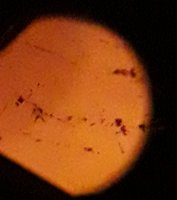 20201127_181537.jpg