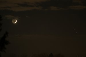 IMG_6527_s.JPG