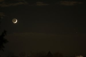 IMG_6531_s.JPG