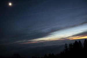 _MG_3533.JPG
