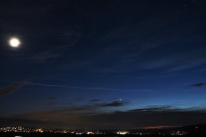 PC193983 (2).JPG