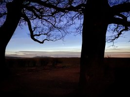 258D79D0-A975-4D55-8C13-F7ADF8497A65.jpeg