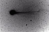 ERG1lovejoy190215invert.jpg
