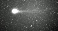 ERG1lovejoy190215.jpg