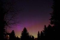 IMG_4561_klein.jpg