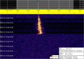 SIGNAL_20210116_001944.jpg