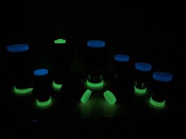 3D Fluo (2).JPEG