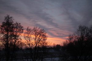 _MG_3927.JPG