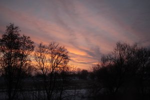 _MG_3929.JPG